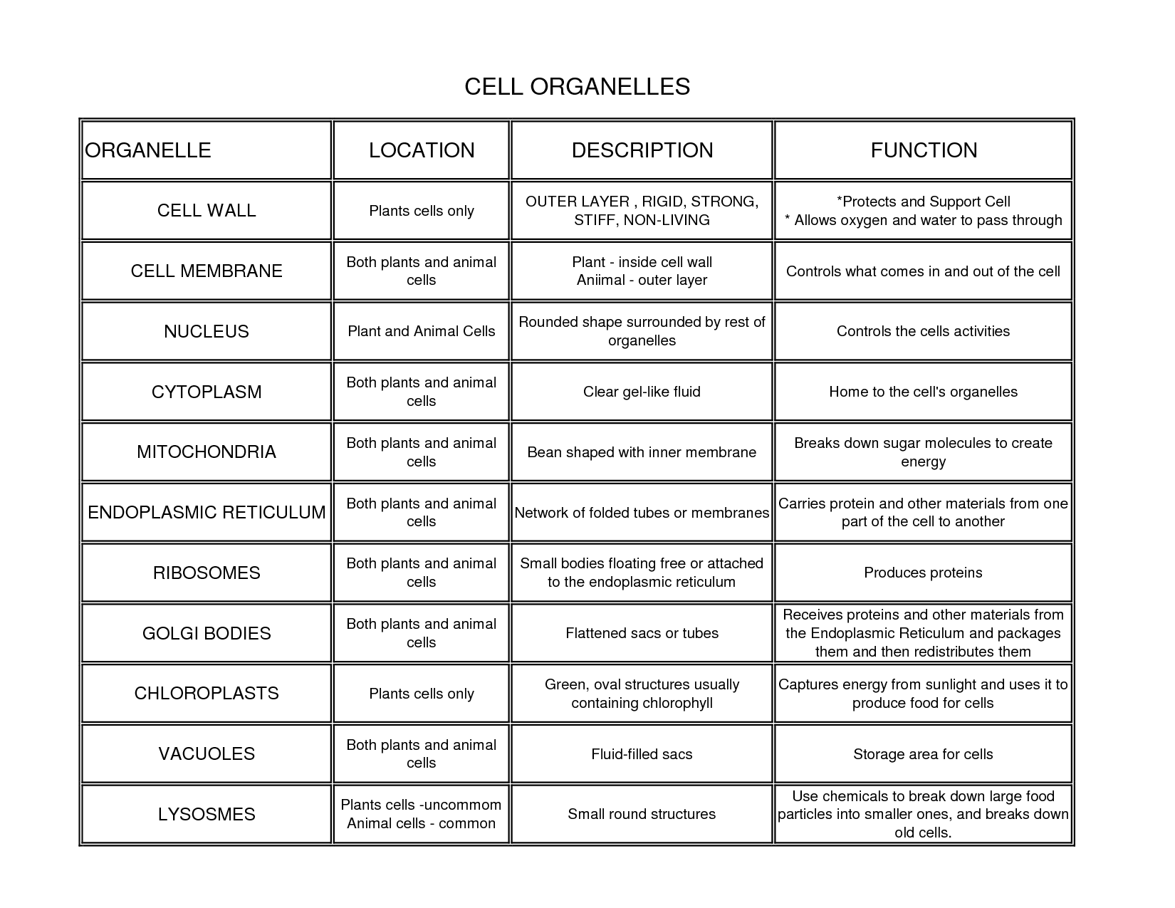 cell-organelle-worksheet-https-www-etutorworld-high-school-biology-worksheets-html